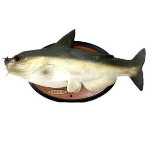 Gemmy Cool Catfish Singing Talking Bad To The Bone/20 Phrases No Tail Movement